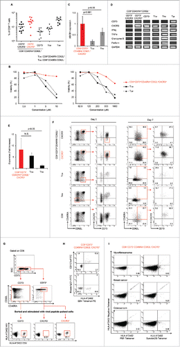 Figure 5. Identification of a novel memory T cell population; young memory T cells (TYM).(A) Percentages of CD8+ T cell subsets in adult peripheral blood (n=10). Each point represents data from an individual healthy donor, and bars represent mean.(B) CD8+CD73+CD45RA+CD62L+CXCR3+ T cells and known memory CD8+ T cell subsets were cultured in the presence of serially diluted Adriamycin (left) and carboplatin (right), and labeled with Annexin V.(C) Expression of ABCB1 mRNA in CD8+CD73+CD45RA+CD62L+CXCR3+ T cells and known memory CD8+ T cell subsets. Bars represent mean ± SEM. Data represent mean ± SD. Statistically significant differences were determined with the Mann–Whitney U test.(D) The mRNA expression of cytokine genes in CD8+ T cell subsets.(E) Expansion of CD8+CD73+CD45RA+CD62L+CXCR3+ T cells and known memory CD8+ T cell subsets activated with bCD3/CD28 and cultured with IL-7 and IL-15 at days 6-7. Data represented mean ± SD of five independent experiments. Statistically significant differences were determined with the Mann–Whitney U test.(F) Differentiation of T cells upon TCR stimulation using bCD3/CD28, IL-7 and IL-15 at Day 7. Data are representative of three independent experiments.(G) CD8+CD73- T cells, CD8+CD73+CD45RA+CD62L+CXCR3- T cells and CD8+CD73+CD45RA+CD62L+CXCR3+ T cells were stimulated with CD8- T cells pulsed with epitopes from EBV and HIV, and cultured for 12-14 days in the presence of IL-2 and IL-7. The percentage of tetramer+ events is shown. Data are representative of six independent experiments.(H) Detection of CD107a exposed on the cell surface after antigen stimulation. HLA-A*24:02 restricted CTL were stimulated using an epitope peptide in the presence of an FITC-labeled CD107a monoclonal antibody and cultured for 5 hours at 37°C. After culture, the cells were stained with HLA-A*24:02 EBV tetramer-PE.(I) CD8+CD73+CD45RA+CD62L+CXCR3+ T cells were stimulated with CD8- T cells pulsed with epitopes from PBF or survivin-2B, and cultured for 12-14 days in the presence of IL-2 and IL-7. The percentage of tetramer+ events is shown.