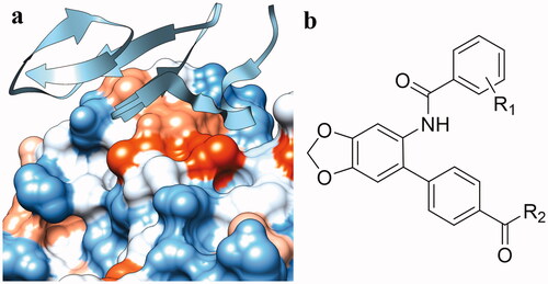 Figure 2. Design of PCSK9/LDLR PPI inhibitors. (a) Binding interface (PDB entry: 3GCX) of PCSK9 (hydrophobic surface) and EGFA domain of LDLR (ribbon); (b) structure of the designed PCSK9/LDLR PPI inhibitors.