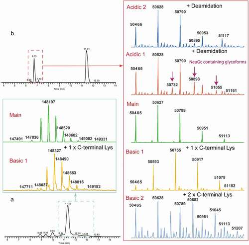 Figure 5. Charge variants analysis of intact (a) and IdeS digested (b) NISTmAb