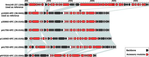 Figure 5 Linear comparison of plasmid genome sequences.