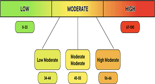 Figure 1 AG Risk Scoring Categorization.