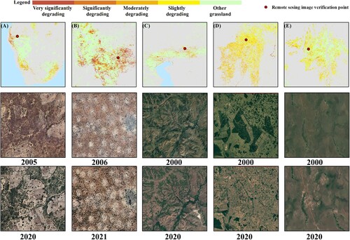 Figure 7. Global grassland degrading in different degrees across hotspots and remote sensing comparative images of random points in different periods.