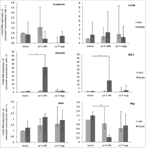 Figure 2. An altered EMT marker expression predominates in H6c7 cells when co-cultured with activated CD4+ T-effs. H6c7 cells were monocultured (mono) or directly co-cultured with T-effs (co T-effs) or T-regs (co T-regs) for 72 h, either in the absence (w/o) or presence of activation beads (+ beads). E-cadherin, L1CAM, vimentin, ZEB-1, Snail and Slug expression were analyzed by RT-qPCR. TBP was used as house-keeping gene for control. Data represent the median values with quartiles (Q0,75 as upper, Q0.25 as lower deviation) of 5–7 independent experiments with T cells isolated from seven individual donors. * = p < 0.05.
