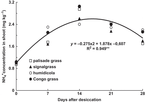 Figure 5 Ammonium (NH4+) concentration in brachiaria grasses shoot as affected by time after desiccation with glyphosate (mean of four species: palisade grass (Brachiaria brizantha (Hochst. ex A. Rich) Stapf), signalgrass (Brachiaria decumbens Stapf), humidicola (Brachiaria humidicola (Rendle) Schweick) and Congo grass (Brachiaria ruziziensis Germain et Evrard)). ** = significant (F test, P > 0.01).