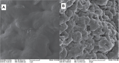 Figure 11 Scanning electron microgram of poly(d,l-lactide-co-glycolide) membranes: A) 3% and B) 0% polyethylene glycol ether.