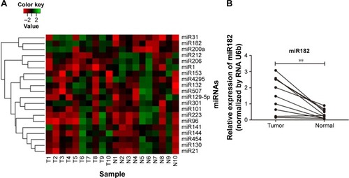 Figure 2 Expression differentiation of predicted miRNAs between malignant tissues and adjacent nonmalignant tissues from ten OSCC patients.