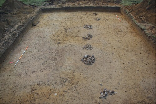 Figure 3. Photograph of a planum showing a part of the excavated stone pit row.