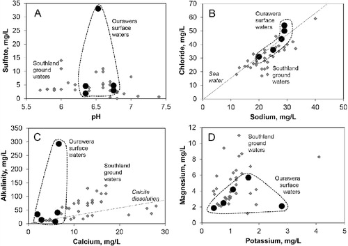 Figure 11 Surface water compositions in the lower Ourawera Stream catchment (black circles) compared with groundwater compositions (grey diamonds; from Durie Citation2001) in sediments in the Invercargill area of Southand (Fig. 1). A, Water pH and sulfate contents; B, sodium and chloride contents, in relation to seawater Na/Cl ratio (dashed line); C, calcium and alkalinity concentrations, compared to ratio expected from near-surface dissolution of calcite (dashed line); D, potassium and magnesium concentrations.