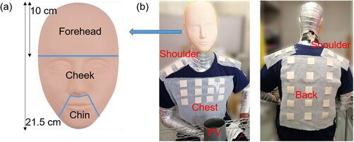 Figure 2. Sampling measurements (a) at the HP’s face and (b) body surfaces.