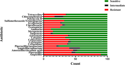 Figure 2 Antimicrobial susceptibility tests of species found in Enterobacteriaceae related meningitis/encephalitis during 2014–2019.