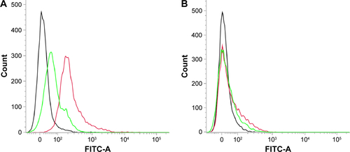 Figure S5 Flow cytometry results for (A) KB cells and (B) A549 cells exposed to FITC-loaded folic acid-conjugated graphene oxide.Notes: Black line: control; red line: cells exposed to FITC-loaded FA-GO only; green line: cells pretreated with FA, followed by FITC-loaded FA-GO.Abbreviations: FA-GO, FA-conjugated GO; FA, folic acid; GO, graphene oxide; FITC, fluorescein-5(6)-isothiocyanate.
