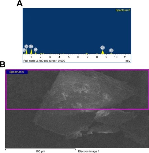 Figure 7 (A) EDS spectrum of nanohybrid CD-LDH; (B) SEM image of the sample used for EDS measurements (inset).Abbreviations: EDS, energy dispersive X-ray spectroscopy; LDH, layered double hydroxide; CD, cefadroxil; SEM, scanning electron microscopy.