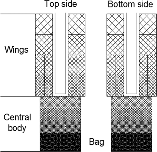 FIGURE 1. Design of a typical Ligurian boat seine. The net has a top and a bottom side (two-face net). It is composed of two lateral portions, or wings, and a central body. Mesh size decreases from the wings to the central body, which is similar to the cod end of a bottom-trawl net.