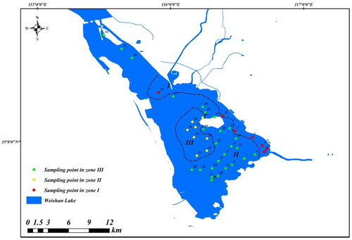 Figure 3. Diatom assemblage zoning map of Weishan Lake.