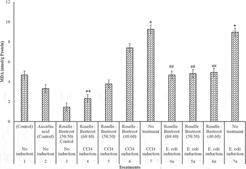 Figure 4. MDA (nmol/g protein) activities of the livers of rats administered with varying concentrations of methanolic extracts of Roselle and beetroots against induced CCl4 and E. coli. Values represent mean ± SE of three independent experiments (n = 4). * Indicates significant difference (increase) relative to the control groups at P < 0.001, ** indicates significant difference (decrease) relative to Group 7, the untreated group in which CCl4 was induced at P < 0.05 and ## indicates significant difference (decrease) relative to Group 7a, the untreated group in which E. coli was induced at P < 0.05.