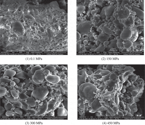Figure 2. Scanning electron microscopy images of batters treated with different pressure (0.1, 150, 300, 450 MPa) at 25°C for 10 min.Figura 2. Imágenes de las masas tratadas a distintas presiones (0.1, 150, 300, 450 MPa) a 25°C durante 10 minutos, tomadas por medio de microscopía electrónica de barrido.