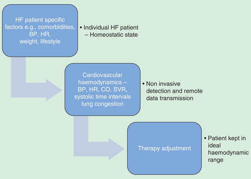 Figure 1. Noninvasive hemodynamic monitoring concept.