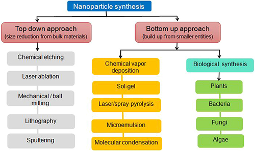 Figure 1 General methods of nanoparticles synthesis.