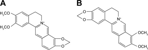 Figure 1 Chemical structure of EPI (A) and berberine (B).