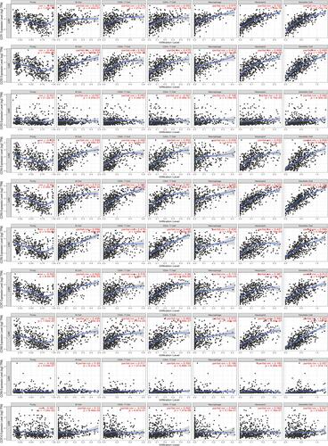 Figure 12 The correlation between CC chemokine receptors and immune cell infiltration in LUAD.