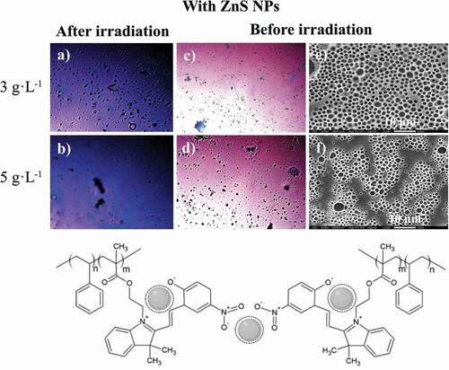 Figure 9. Optical microscope (in CS2) images for the photoactive PS-b-PMMA-SP functionalized with ZnS NPs after irradiation under fluorescence (a, b) at 3 g·L−1 and 5 g·L−1, and before irradiation (c, d) and SEM (in THF) images (e, f)