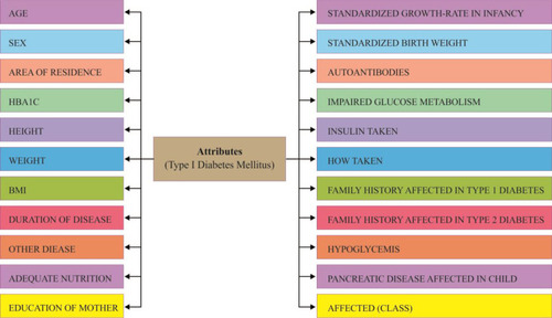Figure 1 List of attributes in the type 1 diabetes mellitus dataset.