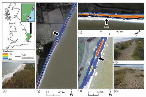 Figure 8. Comparison of VEdge_Detector tool predictions to field measurements of vegetation line at (a) Covehithe, (b) Walberswick, and (c) Dunwich. Locations of photograph (a)i, (b)i, and (c)i are show by arrows on corresponding images. The solid black lines show the ground-referenced vegetation lines at all sites. At Walberswick, the landward and seaward vegetation lines derived from field measurements are denoted by a solid and dashed line, respectively.