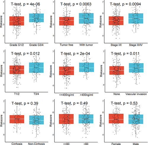 Figure 3 Greater risk scores were connected to patient deaths, advanced grades, advanced TNM stage, T stage, high AFP value, vascular invasion, and relapses, but not to gender, age, or cirrhosis.