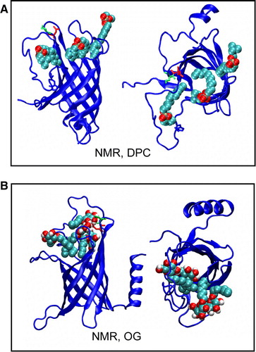 Figure 5.  Snapshots from (A) Sim8 (NMR, DPC) showing movement of DPC detergent molecules into mouth of the binding pocket and from (B) Sim9 (NMR, OG), showing movement of OG detergent molecules into mouth of the binding pocket. This figure is reproduced in colour in Molecular Membrane Biology online.