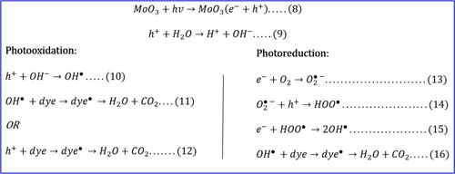 Figure 12. Proposed mechanism of the photodegradation catalyzed by Mo(0)/MoO3.