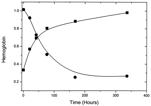 Figure 7. The variation with time of percent metααHb (▪) and total Hb (•) for LEH samples extracted with chloroform.