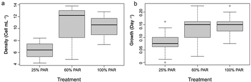 Figure 6. The response of Aulacoseira pusilla from Kersey Lake populations to different levels of light expressed as a percentage of ambient (100 percent, 60 percent, or 25 percent) at 2-m depth: (A) density and (B) growth rate. Box ends are 25th and 75th percentiles; bold bars within boxes are 50th percentiles.