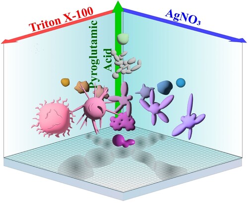 Scheme 1. Summary of the shape dependence for the final products of plasmon-driven synthesis of gold nanostructures on the L-pyroglutamic acid (PGA), Triton X-100 (TX-100) and AgNO3 concentrations in the aqueous growth solution. The product morphologies shown were obtained via irradiation of the growth solution with 505 nm LED light for 1 h. The central multipodal star was prepared using 2.44 mm PGA, 24 mm TX-100, and 1.28 µm AgNO3 for a growth solution containing 0.2 nm Au nanocube seeds and 0.5 mm HAuCl4.