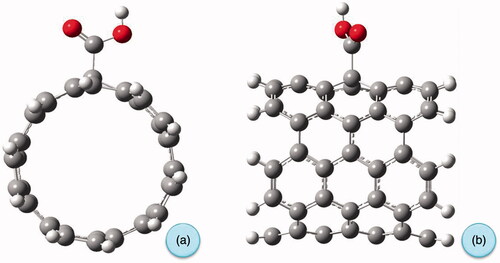 Figure 6. Optimized geometry of carboxylated carbon nanotube (a) from front and (b) from side view.