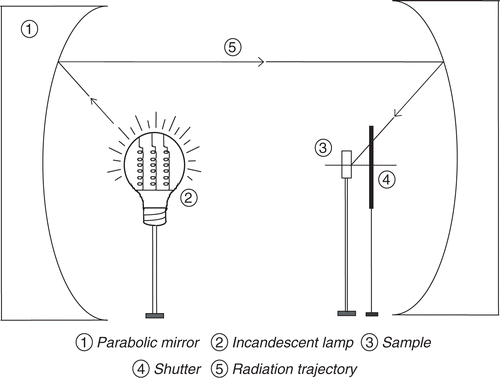 Figure 1. Sketch of the experimental set-up.