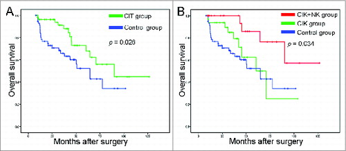 Figure 2. Survival analysis in patients with NSCLC. (A) Overall survival curves for NSCLC patients (n = 120) who received adjuvant cellular immunotherapy (CIT) combined with chemotherapy (CIT group, n = 60) or chemotherapy alone (control group, n = 60). (B) Overall survival curves for NSCLC patients who received adjuvant CIK cell treatment (CIK group, n = 33), adjuvant CIK cell and NK cell treatment (CIK + NK group, n = 27), or chemotherapy alone (control group, n = 60).