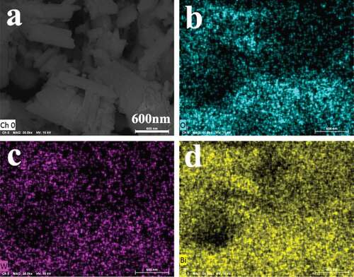 Figure 3. Surface scan image of S3 (a) Surface scan image (b) O element (c) W element (d) Bi element.