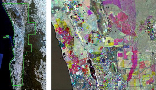 Figure 1. (Left) The extent of the study area is depicted by the green boundary overlaid on the satellite image of the greater Perth region. (Right) Urban areas are dynamic, as demonstrated by this three-date NDVI composite with the NDVI from 1990, 1998 and 2008 displayed in red, green and blue, respectively. Areas having shades of grey are stable in this display, hot colours represent vegetation decline and cool colours represent vegetation gain.