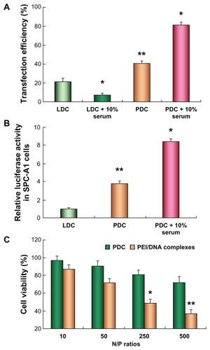 Figure 3 Transfection efficiency of polycation lipid nanocarrier/DNA complexes (PDC) (N/P = 10) in human lung adenocarcinoma (SPC-A1) cells compared with those of Lipofectamine™ 2000/DNA complexes (LDC). (A) Transfection efficiency of plasmid pEGFP-N2 determined by flow cytometer; (B) relative luciferase activity in SPC-A1 cells treated with PDC in comparison with that of LDC; (C) the cell viability of PDCs in SPC-A1 cells compared with that of polyethylenimine (PEI)/DNA complexes at various N/P ratios (*P < 0.05, **P < 0.01) (n = 3).