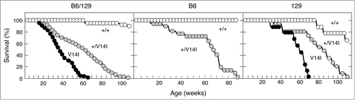 Figure 1. Phenotypic consequences of the genetic backgrounds on the survival rate. (Left) Survival curve of wild-type (n = 25) (+/+, open circles), K-Ras+/V14I (n = 68) (+/V14I, gray circles), and K-RasV14I (n = 30) (V14I, solid circles) B6/129 mice. (Middle) Survival curve of wild-type (n = 5) (+/+, open circles) and K-Ras+/V14I (n = 22) (+/V14I, gray circles) B6 mice. (Right) Survival curve of wild-type (n = 9) (+/+, open circles), K-Ras+/V14I (n = 15) (+/V14, gray circles) and K-RasV14I(n = 9) (V14I, solid circles) 129 mice. Note, the left panel was previously published,Citation19 included here for comparison.