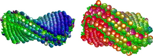 Figure 6. Two twisted multi-bilayer structures formed in a single system with and H=25.