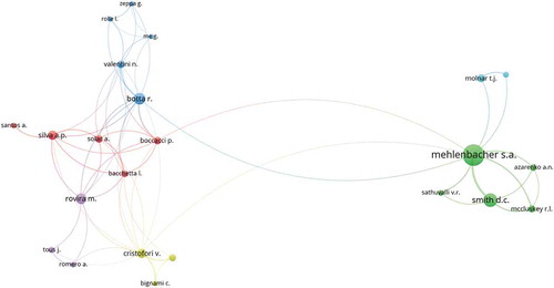 Figure 4. Scientific mapping of the collaboration among authors (1980–2019). Total strength = 1. Lines (300) indicate co-occurrence links between terms