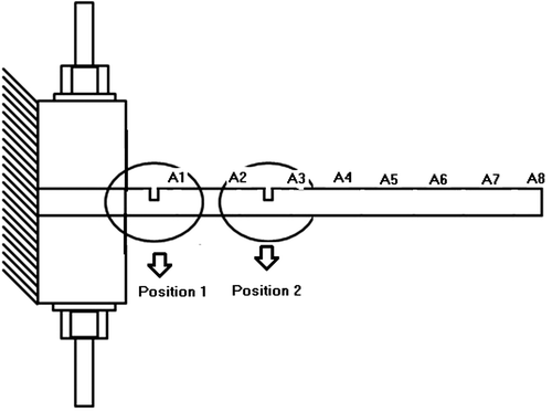 Figure 5. Schematic view beam sample with damages.