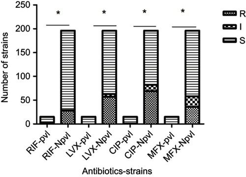 Figure 6 Comparison of drug resistance to four antibiotics in pvl-positive and -negative strains.Notes: *P<0.05. pvl, pvl-positive Staphylococcus aureus; Npvl, pvl-negative S. aureus.Abbreviations: CIP, ciprofloxacin; I, intermediate; LVX, levofloxacin; MXF, moxifloxacin; R, resistant; RIF, rifampin; S, susceptible; pvl, pvl-positive Staphylococcus aureus; Npvl, pvl-negative S. aureus.