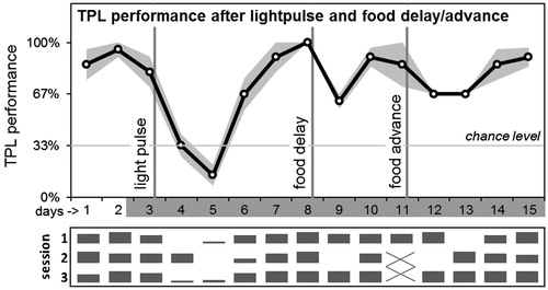 Figure 3. Average daily TPL performance after abrupt LEO and FEO phase-shifts. After testing on day 3, in the beginning of the subjective dark phase, a 3h light pulse (400–800 lux) was applied according to an Aschoff type II protocol. After performance recovered, food was delayed by 6 hours (after testing on day 8). After performance recovered, food was advanced by 6h on day 11. Days are shown on the x-axis (non-shaded days indicate testing in LD; shaded days indicate testing in DD). The grey area around the black performance curve indicates SEM. Vertical lines indicate the interventions. Chance level is indicated by the horizontal line. Daily session-specific performance is shown in bar charts underneath the average daily performance graph (x-axis days are aligned; vertical height of the bars represent relative performance).