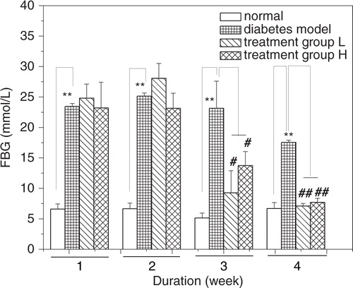 Fig. 2 Effect of GD on FBG levels of diabetic mice. FBG: fasting blood glucose; treatment group L: 1.2% GD-treated diabetic group; treatment group H: 4.8% GD-treated diabetic group. Data are expressed as mean±SD. **p<0.01, versus the normal group; # p<0.05 and ## p<0.01, respectively, versus the diabetic model group.