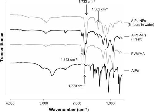Figure 5 FTIR spectra of AlPc, PVM/MA, fresh AlPc-NPs, and AlPc-NPs exposed to water for 6 hours.Notes: The appearance of carboxyl bands, at 1,362 cm−1 and 1,733 cm−1, and the decrease in the intensity of anhydride bands, at 1,770 cm−1 and 1,842 cm−1, shows that the anhydride groups of PVM/MA are hydrolyzed when AlPc-NPs are exposed to water.Abbreviations: AlPc, aluminum–phthalocyanine chloride; NPs, nanoparticles; PVM/MA, poly(methyl vinyl ether-co-maleic anhydride); FTIR, Fourier transform infrared spectrophotometer.