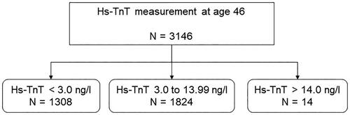 Figure 1. The distribution of undetectable (<3.0 ng/L), detectable (3.0–13.99 ng/L) and elevated (>14.0 ng/L) high-sensitivity troponin-T (Hs-TnT) in women aged 46.