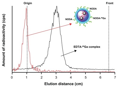 Figure 4 TLC profiles obtained for 68Ga-labelled NPs (red line, Rf = 0) and free EDTA-68Ga complex (black line, Rf = 0.35).Note: The complex EDTA-68Ga is generated in situ.Abbreviations: TLC, thin layer chromatography; NPs, nanoparticles; EDTA, ethylenediaminetetra-acetic acid; NODA, 2,2′-(7-(4-((2-aminoethyl)amino)-1-carboxy-4-oxobutyl)-1,4,7-triazonane-1,4-diyl)diacetic acid.