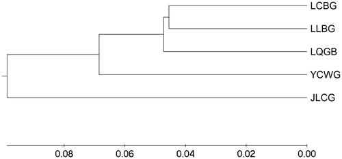 Figure 2. UPGMA phylogenetic tree of five sheep populations based on nei’s genetic distance (DA).
